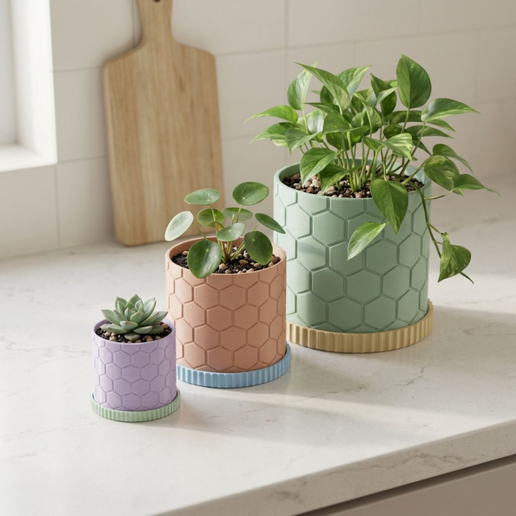 Hexagon Pattern Planter with Drip Tray | Honeycomb Plant Pot 3D Print | Succulent Herb Pot | Small Medium Large