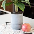 Self Watering Planters