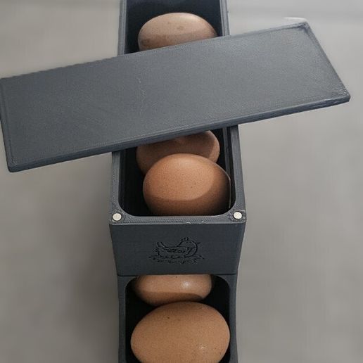 1000013641.jpg Stapelbarer Eierkarton / Stackable Egg Box