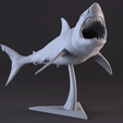 15.png White Shark Statue