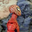 IMG_20230910_095938_584.jpg Spider-man (Tobey Maguire) Marvel Legends Head