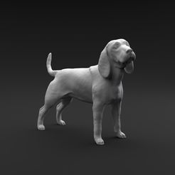 Beagle_female_1.jpg Download file Beagle standing female and male • 3D print model, Nikola_Roglic