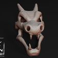 charizard-skull.173.jpg Charizard Skull 3d printing model