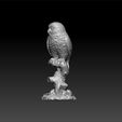 owll4.jpg Owl - Owl decorative