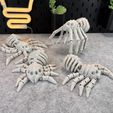 IMG_6829.jpg Flexi Skeleton Spider V2
