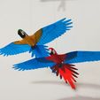 IMG_20240621_163309320.jpg Flying Macaw