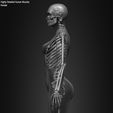 Female-Human-Skeleton-3D-Model-sculpted-by-Yacine-BRINIS-029.jpg Highly Detailed Human Skeleton (Female)