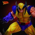 Camada-5.jpg Wolverine