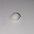 PXL_20230121_174201654.jpg Bola macia de ar