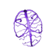 VEIN .stl Modèle de cerveau en 3D avec hémisphère, tronc cérébral, cervelet et système artériel et veineux très détaillé, y compris le cercle de Willis.