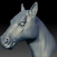Horse-head-perspective.jpg horse's head