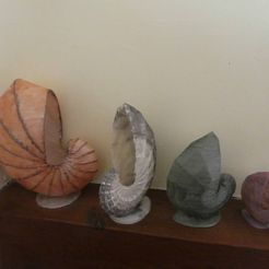 nP1130160.jpg STL-Datei Nautilus・3D-druckbares Modell zum Herunterladen