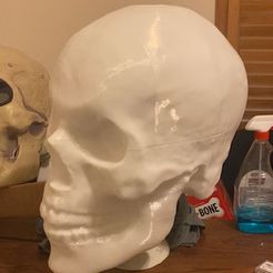 IMG_4120-1.jpg Archivo STL gratis HD 12FT Skeleton Skull (pretroquelado para clavijas de enchufe)・Objeto para impresora 3D para descargar