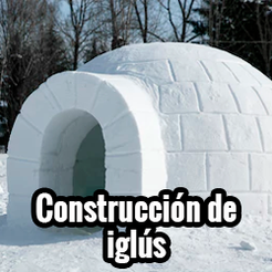 436673DD-6825-476C-95EC-45B0AADB23FA.png Free STL file Snow Brick Mold for Outdoor Fun - Igloo Fortress・3D printable model to download