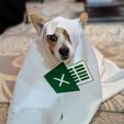 Ein-Excel1.jpg Excel Sheet costume