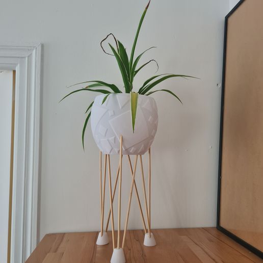 20240920_105807.jpg геометрический плантатор