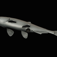 golden-dorado-statue-box-1-46.png fish golden dorado / Salminus brasiliensis with storage space / for 3d printing