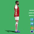Jorghinho_3.jpg 3D Rigged Jorginho Arsenal 2024
