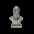 16.jpg Charles Darwin portrait sculpture 3D print model