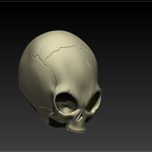 4.jpg GREY ALIEN SKULL