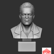 Frank-West-Bust_Preview-Images_3DForge_02.png Frank West Bust (from Dead Rising)