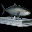 Greater-Amberjack-statue-10.png fish greater amberjack / Seriola dumerili statue detailed texture for 3d printing