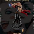 h-2.jpg Harley Quinn and Catwoman - Collecible Edition