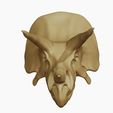 06.jpg Triceratops: Skull and Body