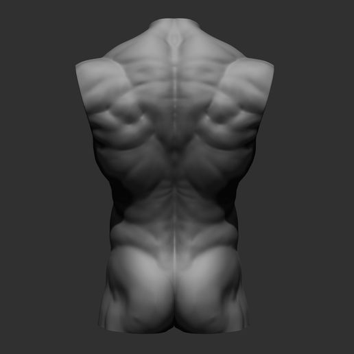 22.jpg Archivo 3D 4 Torsos masculinos・Modelo para descargar e imprimir en 3D, Daniartist