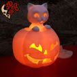 08.jpg SCARED CAT GHOST, a led pumpkin lamp, Halloween