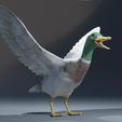 0011.png Photorealistic duck - posable/rigged [stl file included ]