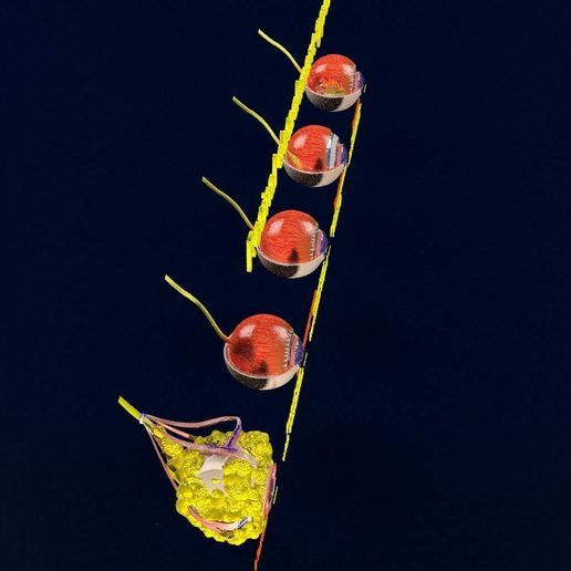 retinal-detachment-types-eye-3d-model-blend-56.jpg Retinal detachment types eye 3D model