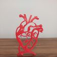 20230815_145406.jpg 2D minimalist anatomical heart