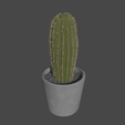 potted-cactus-less.png potted cactus