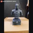 Witcher_render7.jpg Witcher Geralt Bust