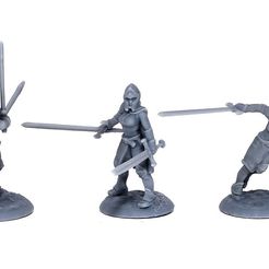 7513bc9f0320d0aec71b1448f3f6fa10_display_large.jpg Free STL file Lady Knights (multiple poses)・3D printing idea to download, stockto