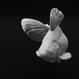 31.png Ryukin Fancy Goldfish - Realistic Fish Pet