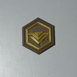 gold.jpg theHunter Call of the Wild Score Badges / Medal / Token