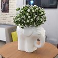 Cute-elephant-pot.jpg Two Elephants Planter Pot, Printable Plant Pot, Animal Planter indoor, Cute Planter