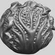 18_TDA0496_CabbageA09.png Free 3D file Cabbage・Design to download and 3D print