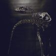 DSC_0298_Cults.jpg Download OBJ file Life size baby T-rex skeleton - Part 04/10 • 3D printable model, Inhuman_species