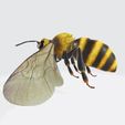 0.jpg DOWNLOAD BEE 3D Model BEE - Obj - FbX - 3d PRINTING - 3D PROJECT - BLENDER - 3DS MAX - MAYA - UNITY - UNREAL - CINEMA4D - BEE GAME READY - POKÉMON - RAPTOR