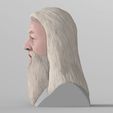 untitled.1742.jpg 3D file Dumbledore from Harry Potter bust for full color 3D printing・Model to download and 3D print