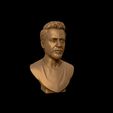 30.jpg Robert Downey 3D portrait sculpture