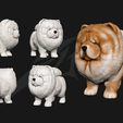 bp.png Cute Chow Chow STL and VRML