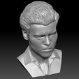 18.jpg Harry Styles bust 3D printing ready stl obj formats
