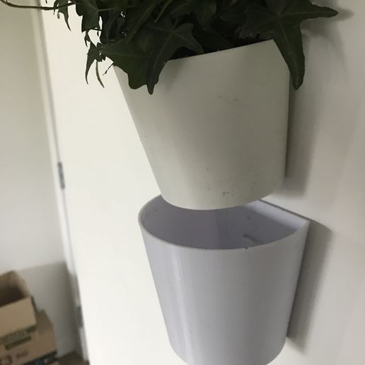 IMG_7523.JPG Removable Wall Mounted Pot