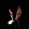 DSC01632.jpg Rabbit Ear Tiara