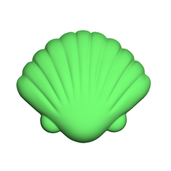 shell-02.png seashell shell 01