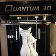 IMG_0273.JPG Download free STL file Twin Cats • 3D printable template, Quantum3D